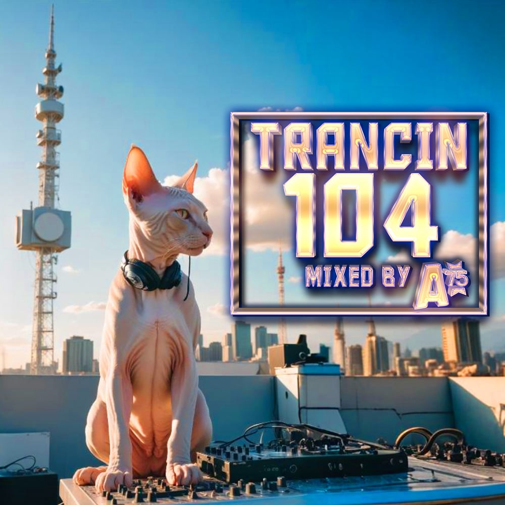 Trancin 104