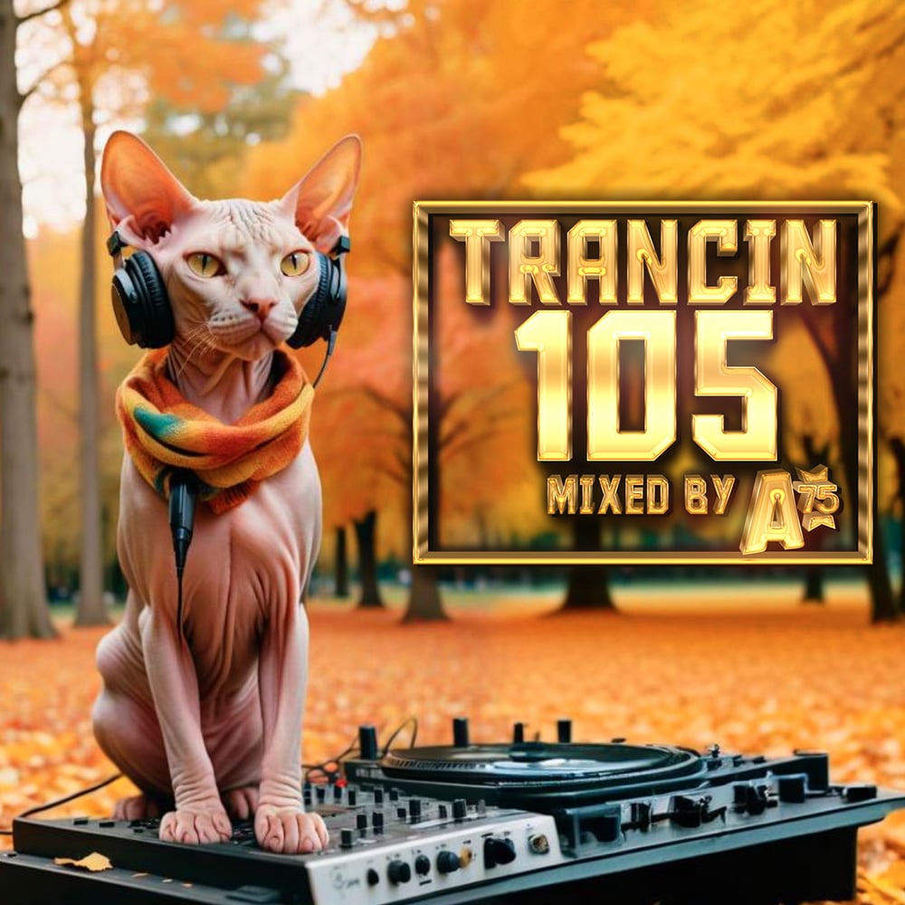 Trancin 105