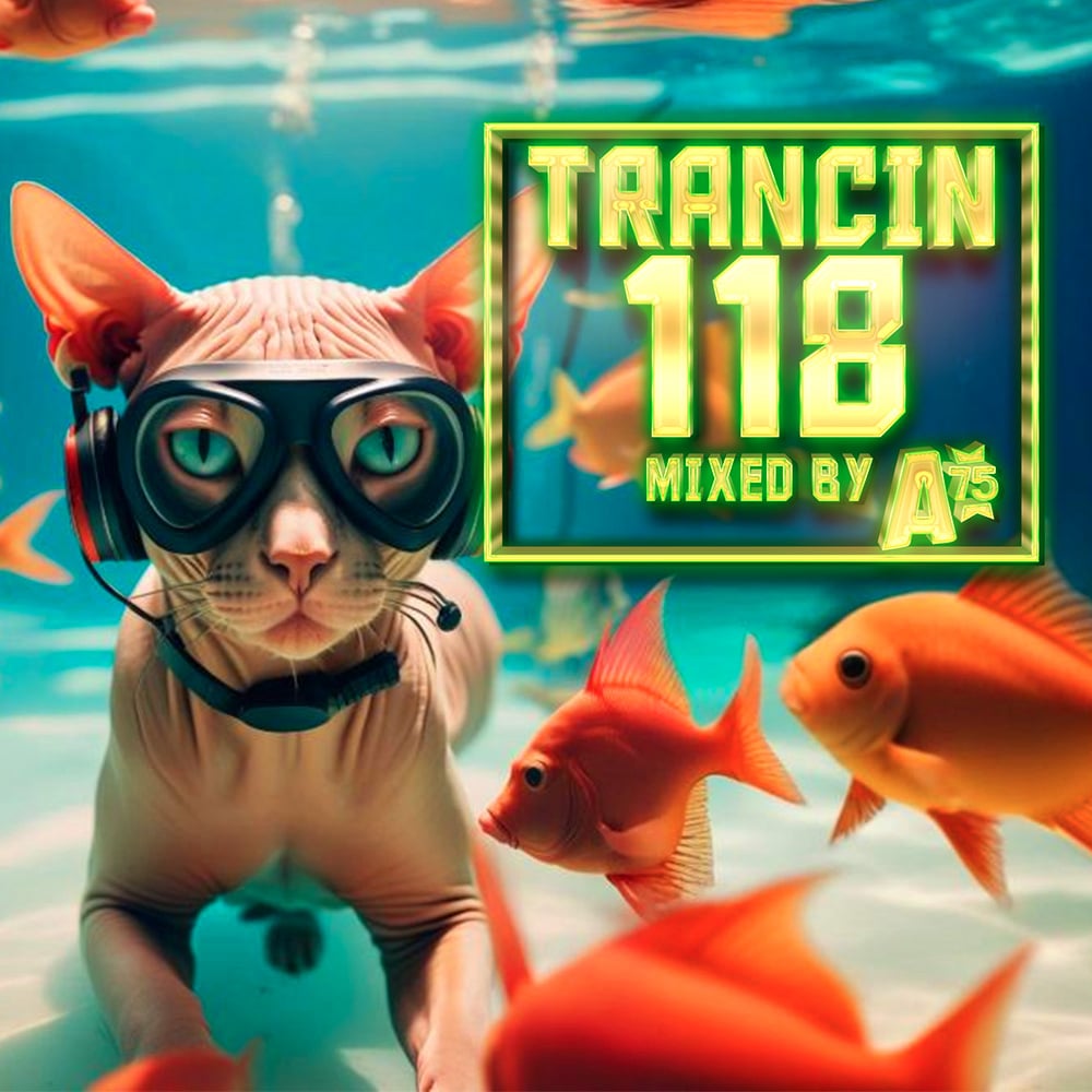 Trancin 118