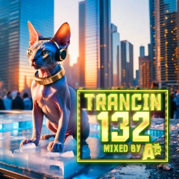 Trancin 132
