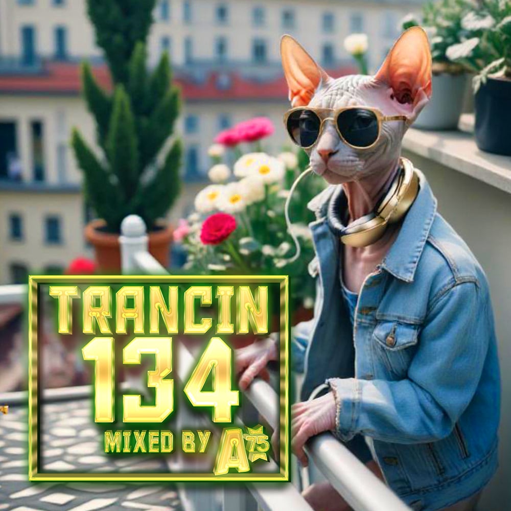 Trancin 134