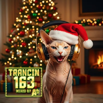 Trancin 163