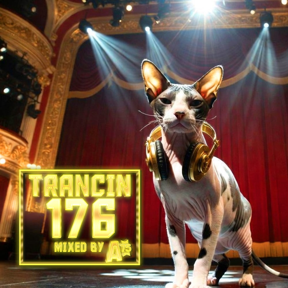 Trancin 176